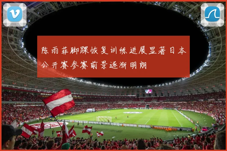陈雨菲脚踝恢复训练进展显著日本公开赛参赛前景逐渐明朗